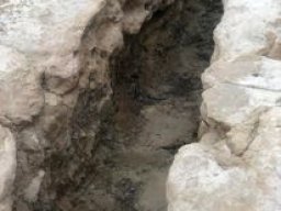 Yacimiento de Villaricos 2012